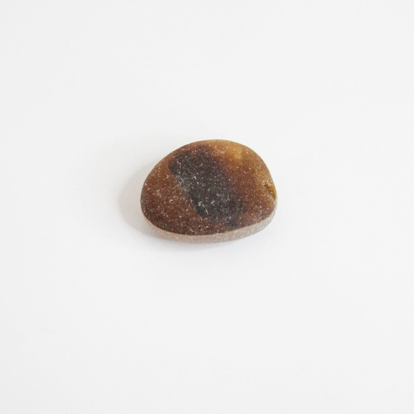 Rare End Of Day Seaham Sea Glass – Brown Multi Layer English Sea Glass Piece – Collectors Beach Glass
