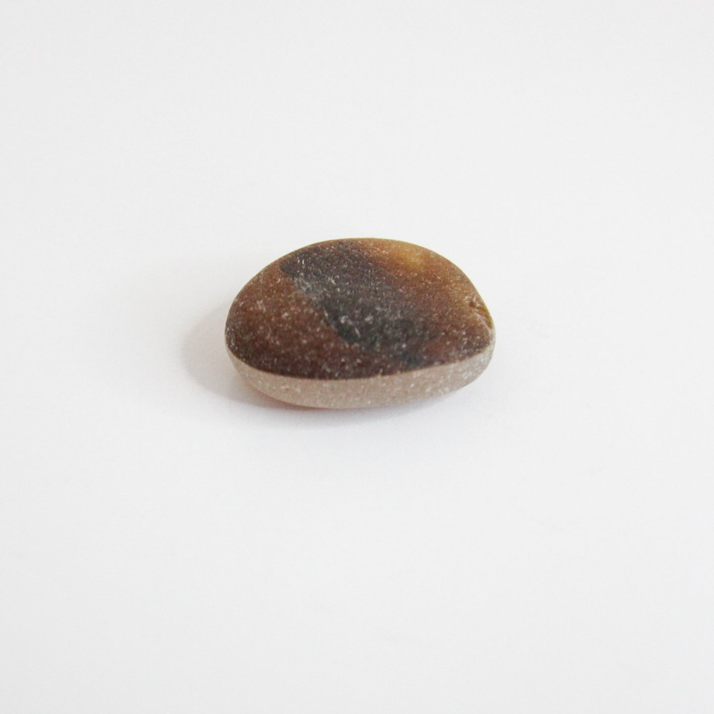 Rare End Of Day Seaham Sea Glass – Brown Multi Layer English Sea Glass Piece – Collectors Beach Glass