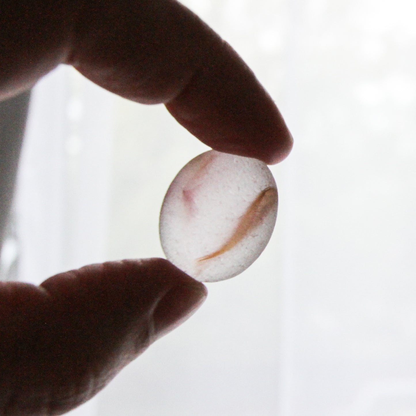 Rare Pink End Of Day Seaham Sea Glass – Large Multitone English Sea Glass Piece – Handpicked From Seaham Beach
